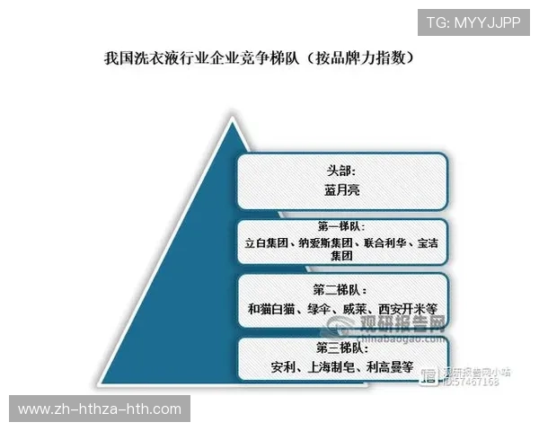 知名健身器材品牌及其市场影响力分析